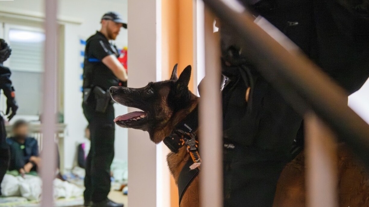 Image d'illustration