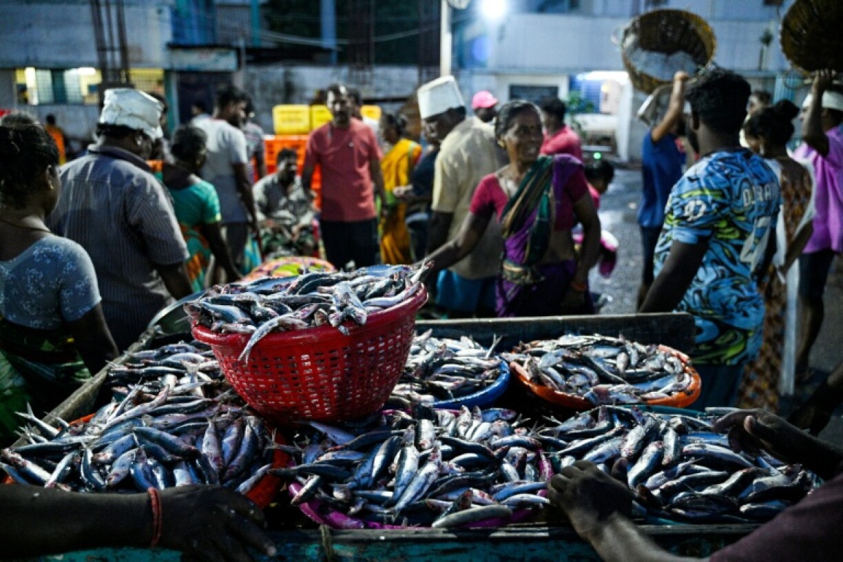 Fishermen wait for customers at the Kasimedu harbour in Chennai