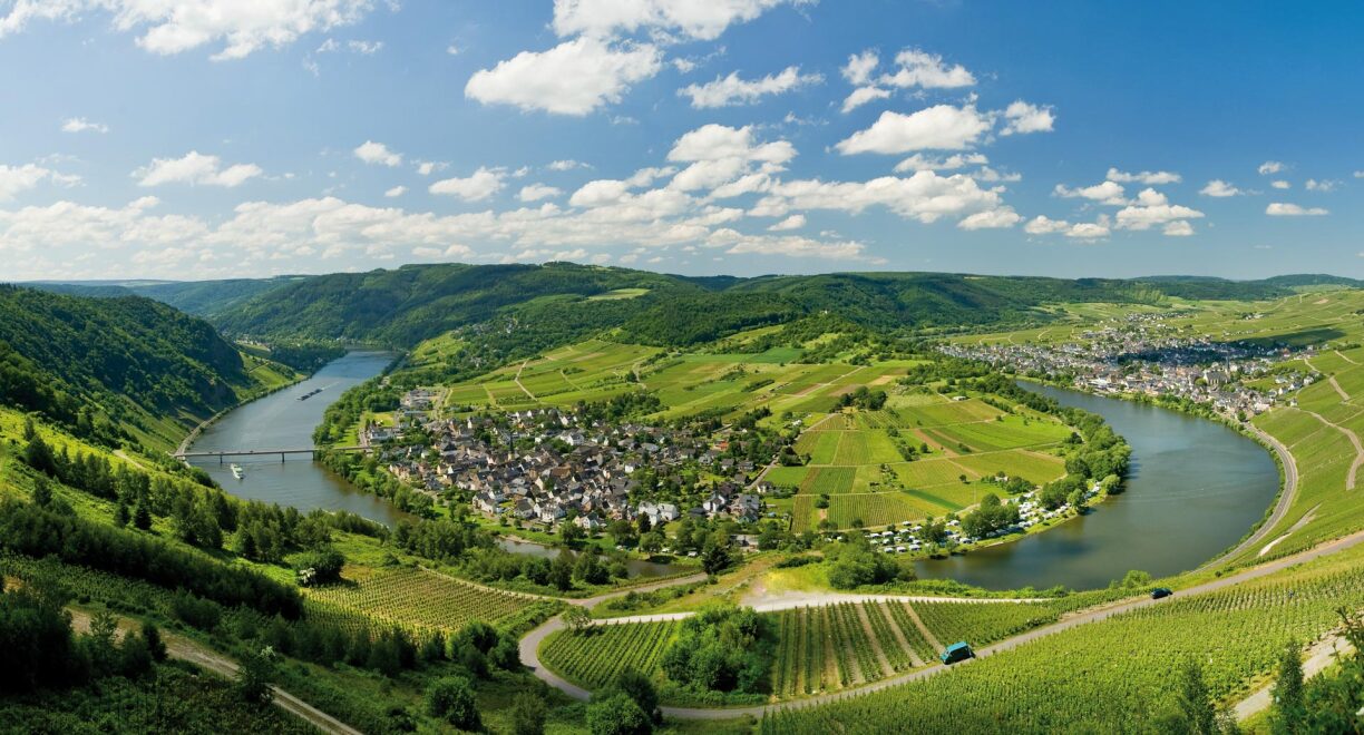 The Moselle