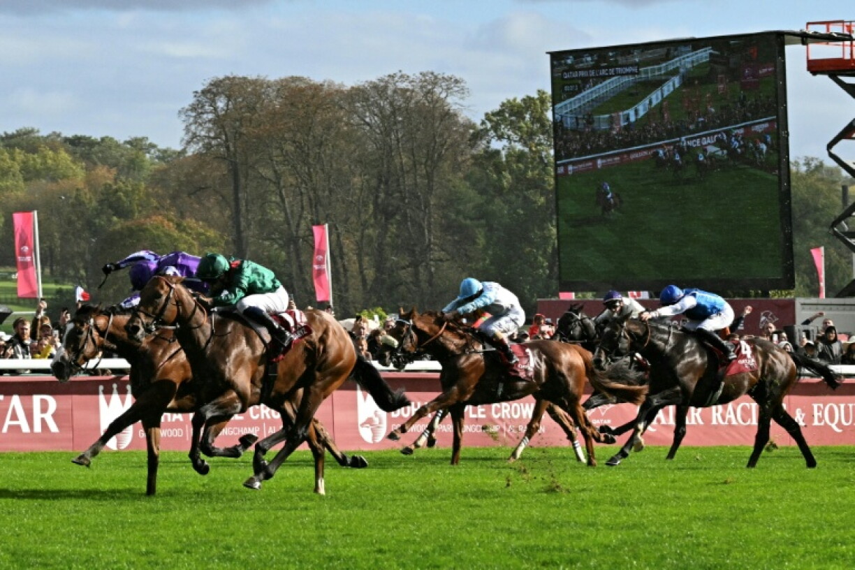 Daryz (2nd L) is a warm favourite to become the first colt to win two in a row since Irish great Alleged did so almost half a century ago