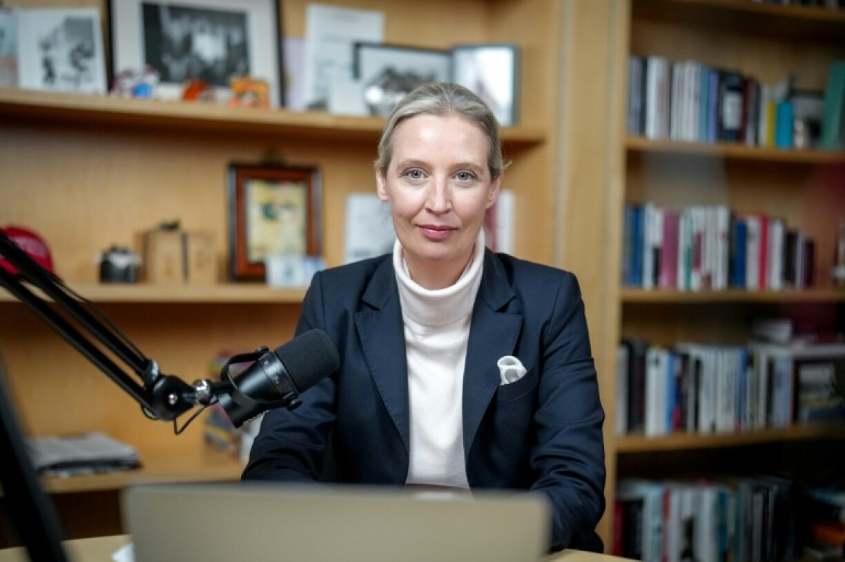 Weidel held a live discussion with Elon Musk on his social media network X