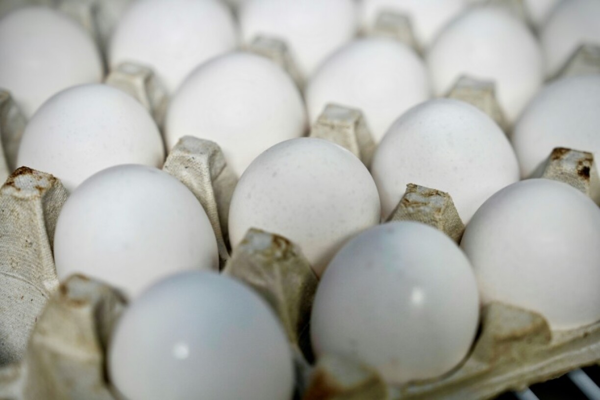 A carton of eggs sit in a fridge in the ghost kitchen of Annie Clemmons, where she operates online bakery Chapman's DC