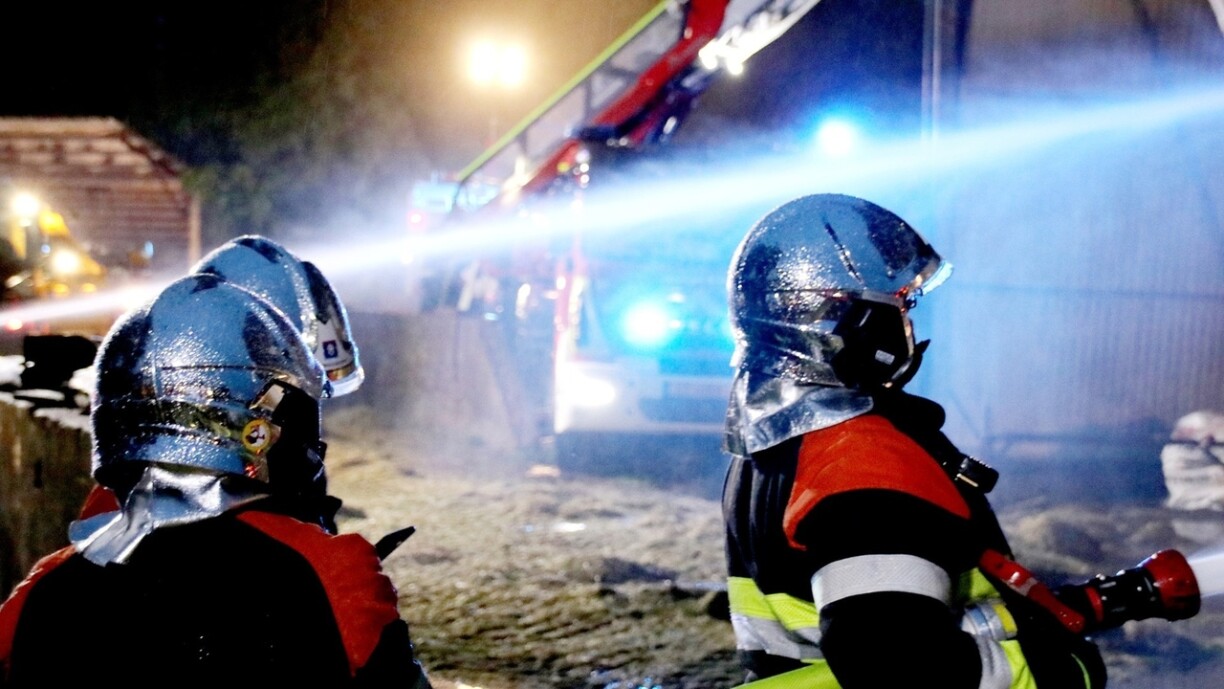 Image d'illustration