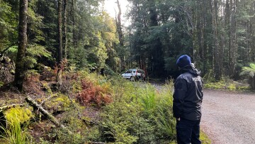 Eng Foto vun der Sich nom Celine Cremer am Juni 2023