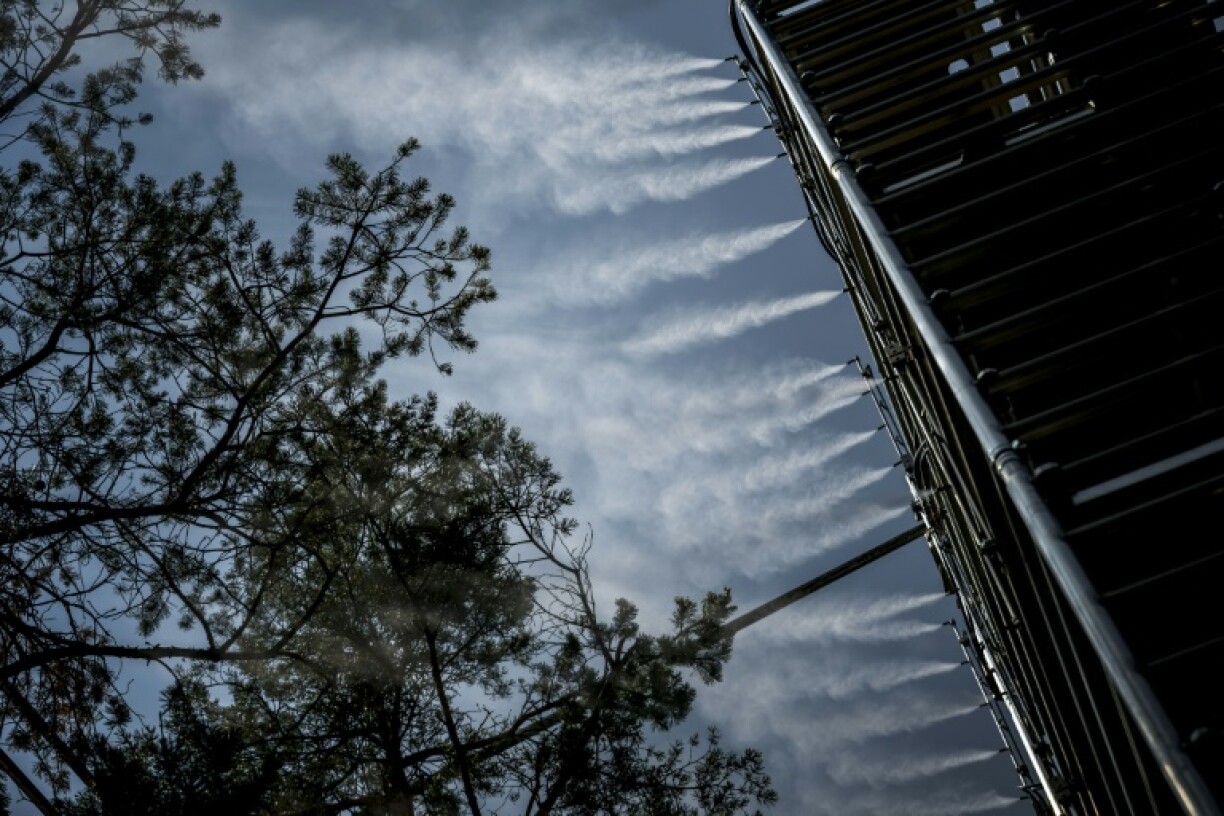 At 615 metres above sea level, and surrounded by towering Alpine mountains in the Rhone river valley, the forest is one of the hottest and driest places in Switzerland