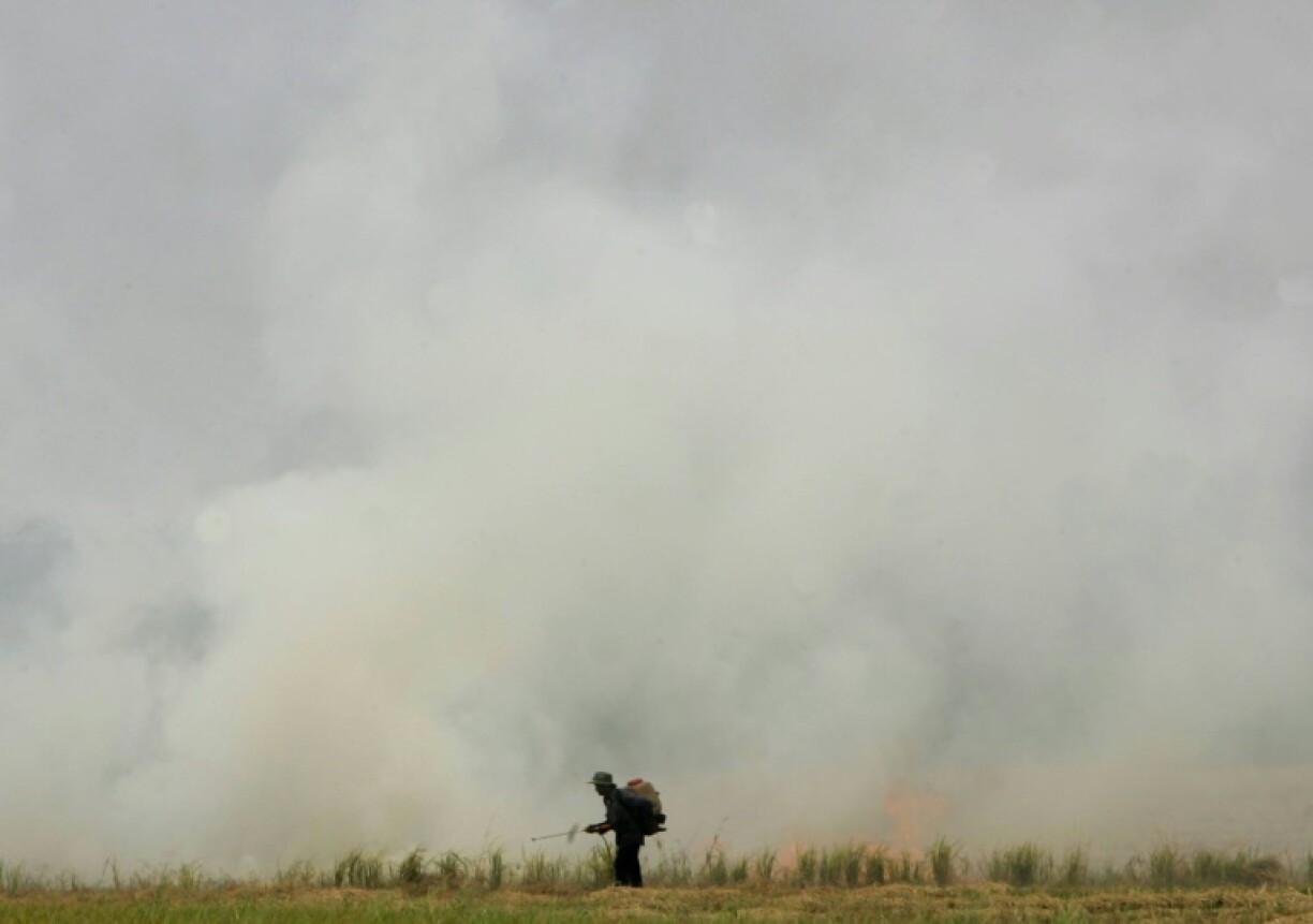 Burning crop stubble sends air pollution in Thailand soaring in the early months of the year