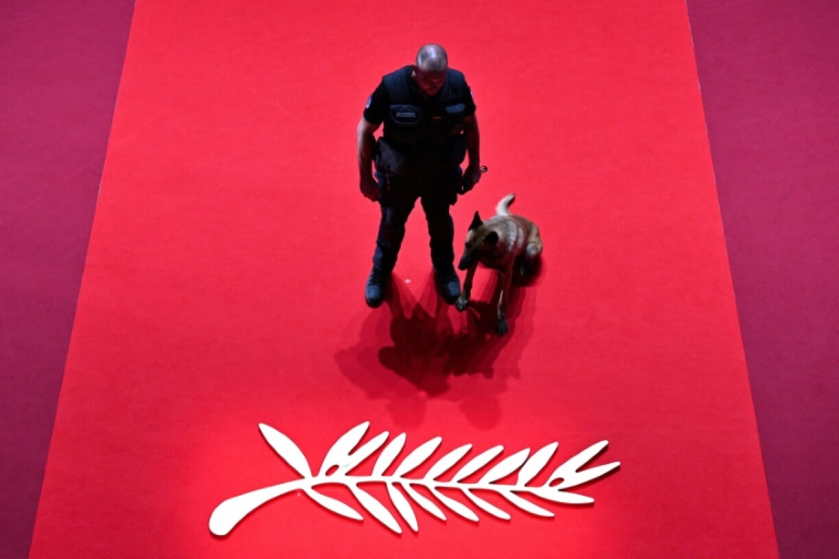 Cinemas are desperate for some Cannes stardust to excite filmgoers