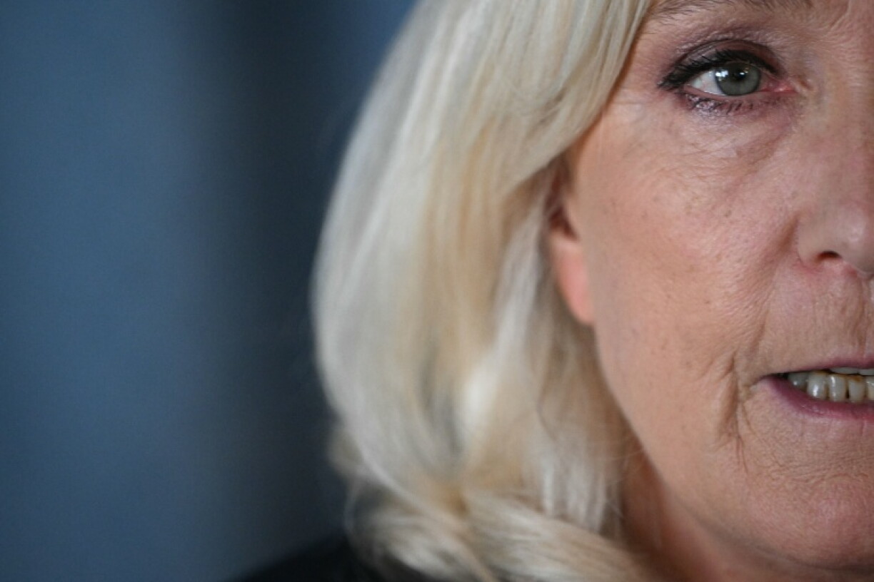 French far-right leader Marine Le Pen is the frontrunner to take over from President Emmanuel Macron, surveys show