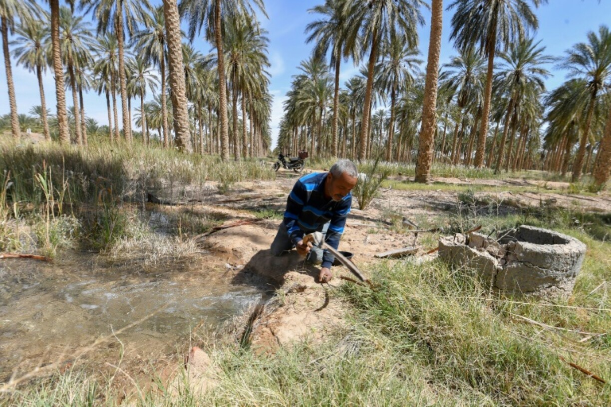 A farmer irrigates date palms in the Jemna oasis