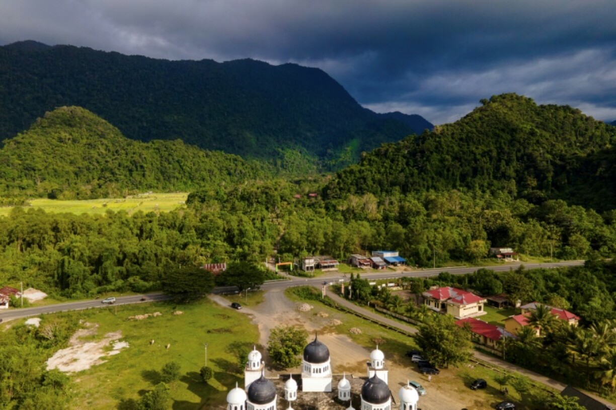 The Indonesian government wants to turn 20 million hectares of forest into areas for food and energy production and water reserves