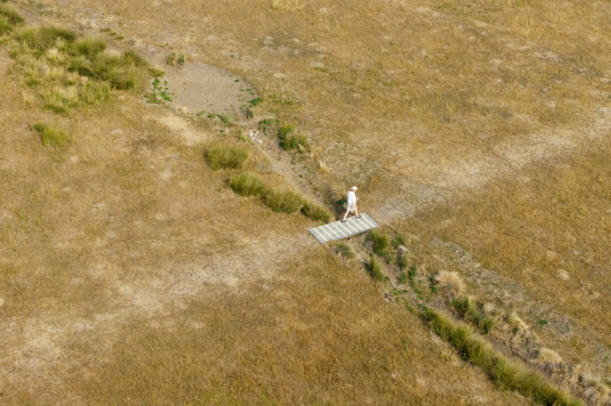 An aerial photograph shows a person walking over a dried up stream beside sun scorched grass at Richmond Park, in London in August