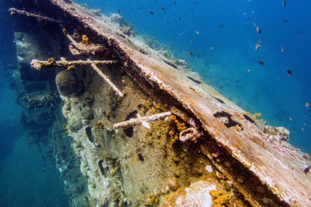 Fish swim around the Antilla Shipwreck off of Noord, Aruba on May 12, 2024