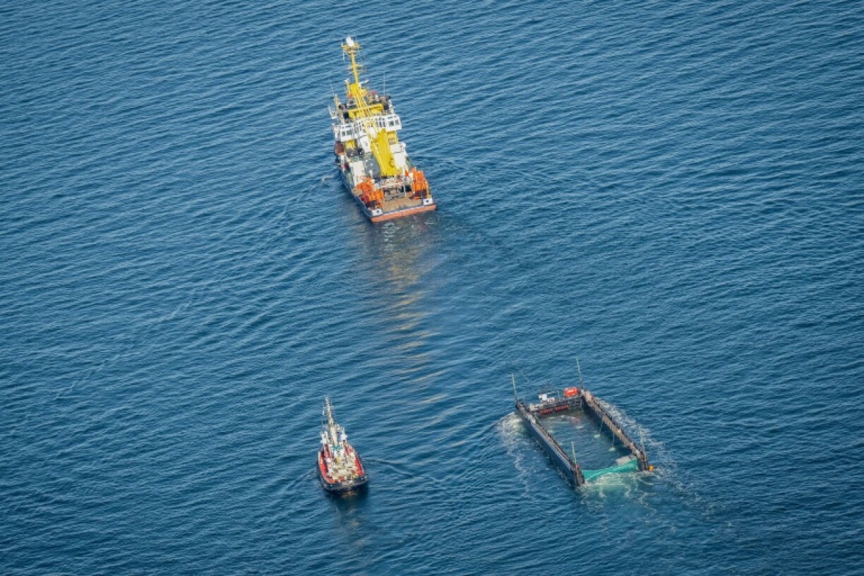 Vue aérienne, le 29 avril 2026, du navire remorquant la baleine à bosse secourue dans une barge spéciale le long de la côte danoise, en route vers la mer du Nord après s'être échouée sur un banc de sable près de Lübeck, en Allemagne, fin mars