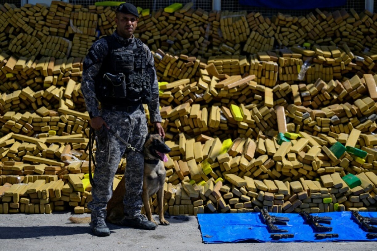 Die brasilianische Polizei hat in Rio de Janeiro bei einer Razzia in einer Favela die Rekordmenge von 48 Tonnen Marihuana sichergestellt - mit Hilfe eines Spürhundes, der die Drogen zufällig erschnüffelte.