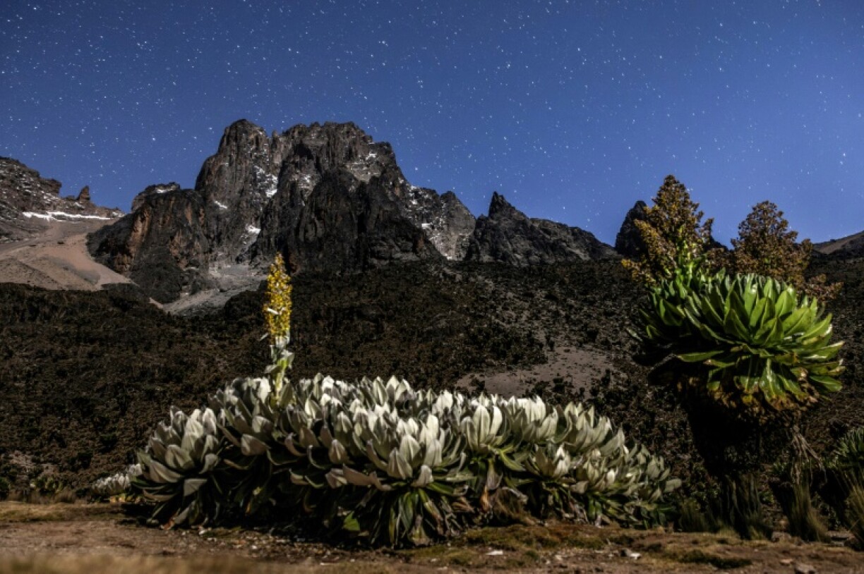 Mount Kenya is still home to atypical flora and unique landscapes