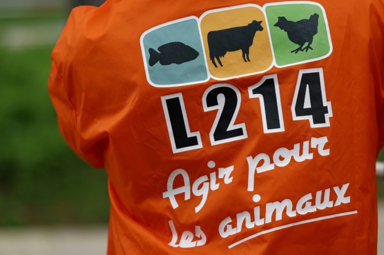 L'association animaliste L214 a annoncé jeudi avoir porté plainte contre un élevage porcin du Morbihan, accusé notamment de "sévices graves" sur des porcelets