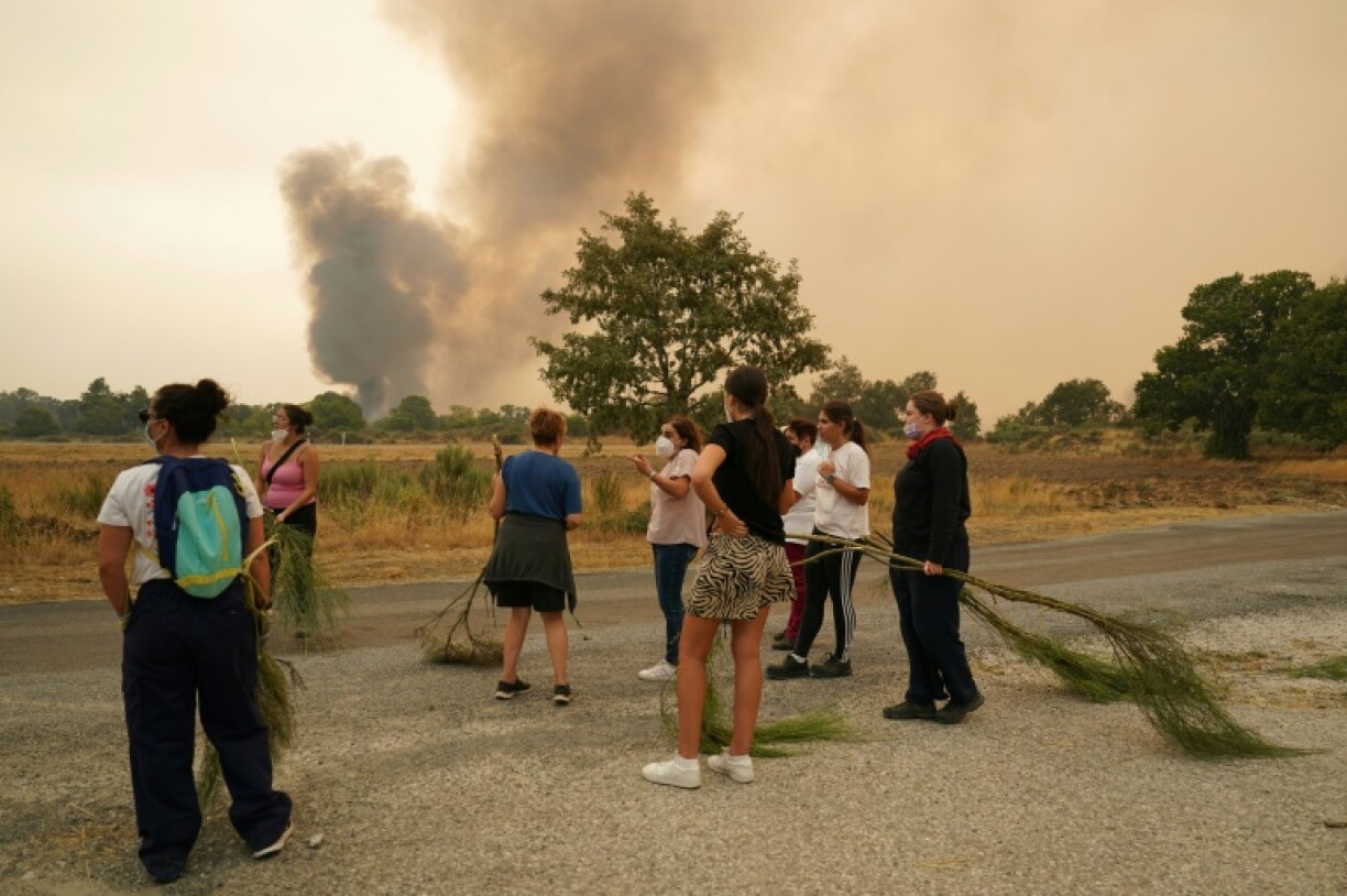 Locals have used branches to help firefighters in Spain battle wildfires