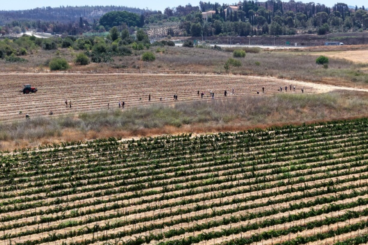 The monastery was spared in the blaze but swathes of its agricultural land were destroyed