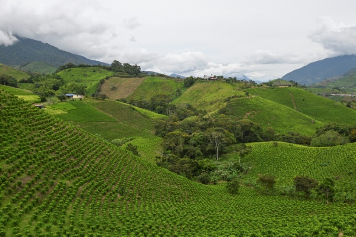Outsiders are rarely allowed access to Micay Canyon, in southwest Colombia