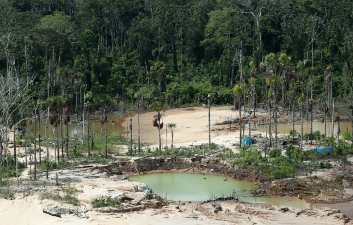 Déforestation dans l'Amazonie péruvienne, liée aux mines illégales d'or, en mars 2019