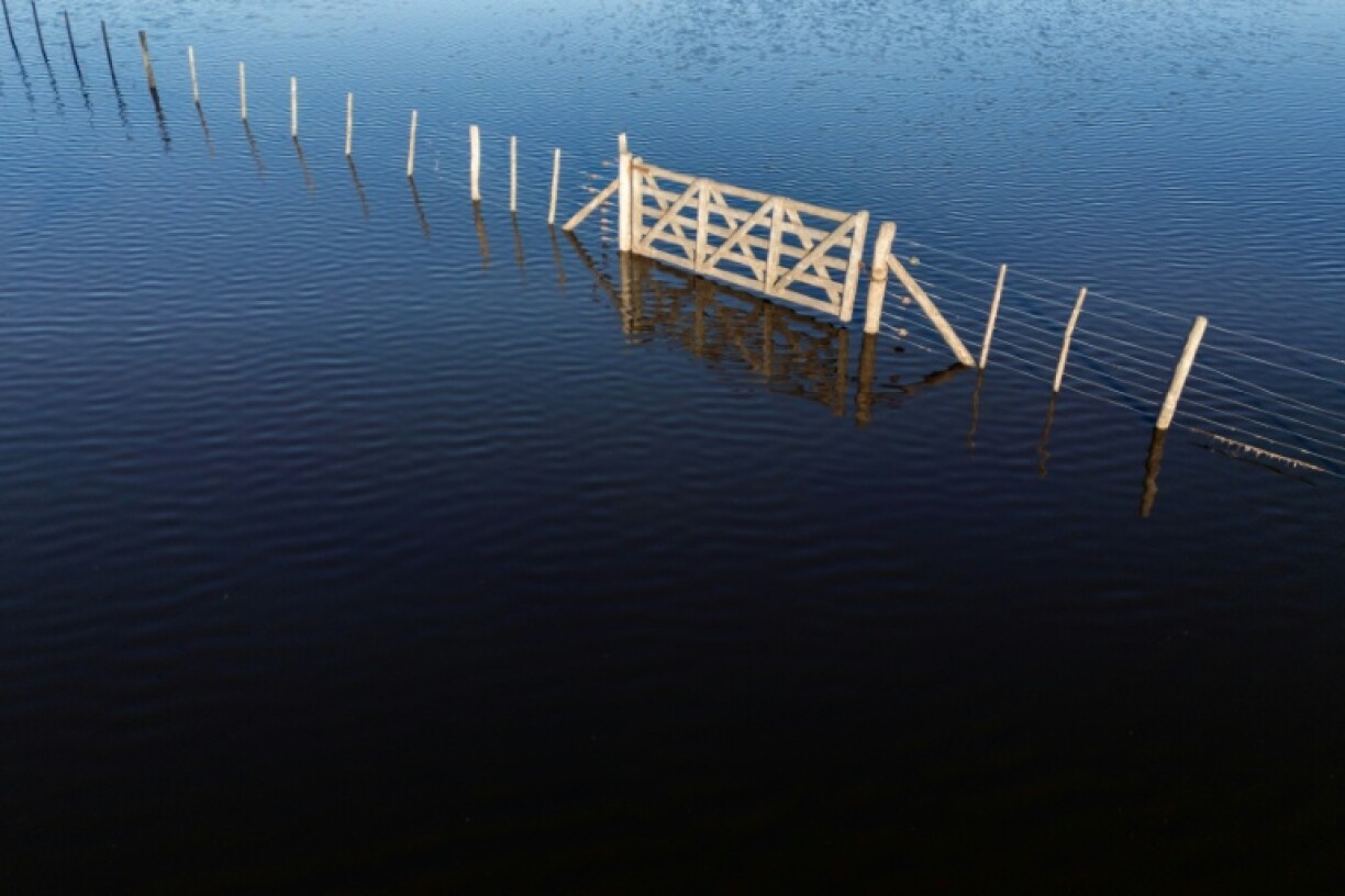 The Pampas have been transformed into a marsh of stinky, stagnant water with clouds of mosquitos and a deafening chorus of frogs
