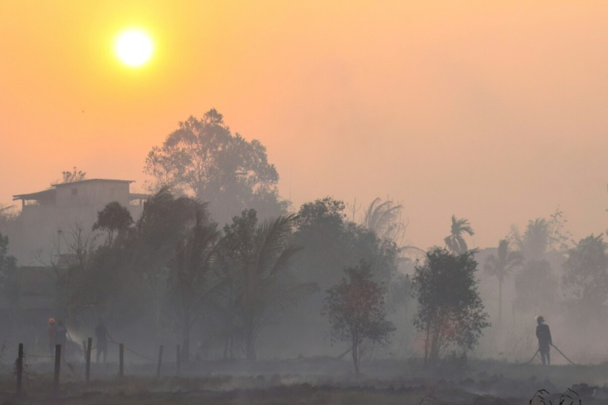 Blazes in Indonesia have burned through nearly two million hectares this year, according to a deforestation monitor