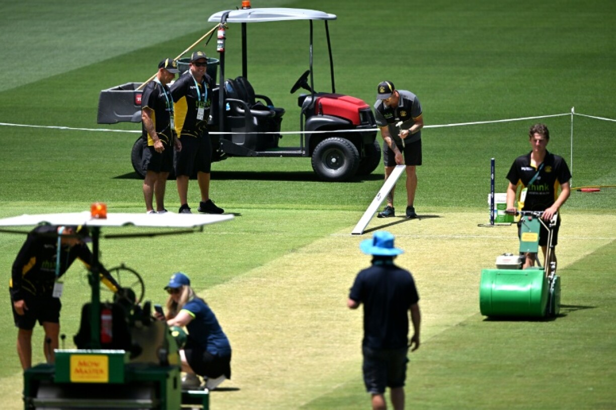 The Perth Stadium pitch that hosted the first Ashes Test was deemed