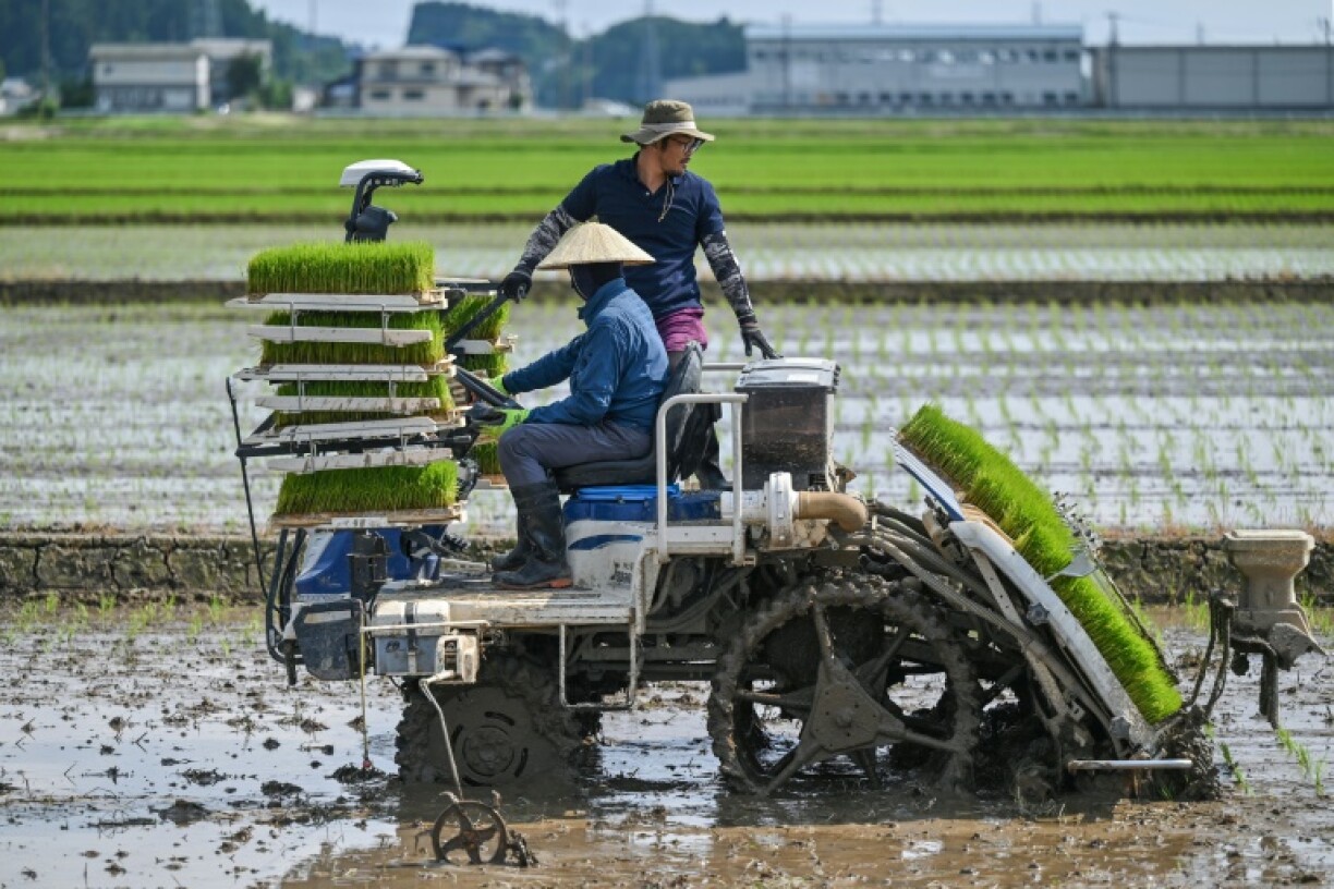 Farmers use a transplanter to plant rice seedlings at a farm in the town of Sanjo, Niigata prefecture in northern Japan