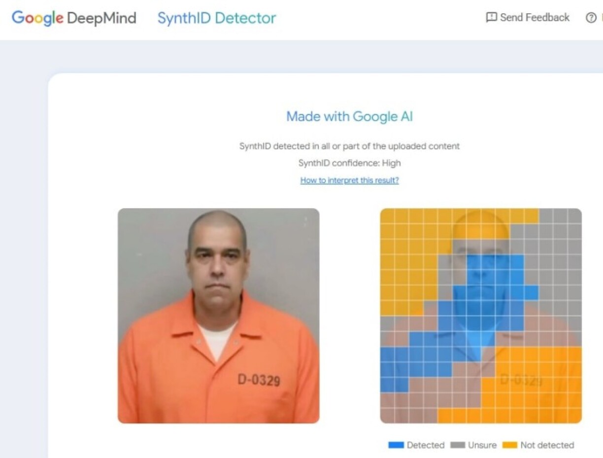 Screenshot of the result from the SynthID tool