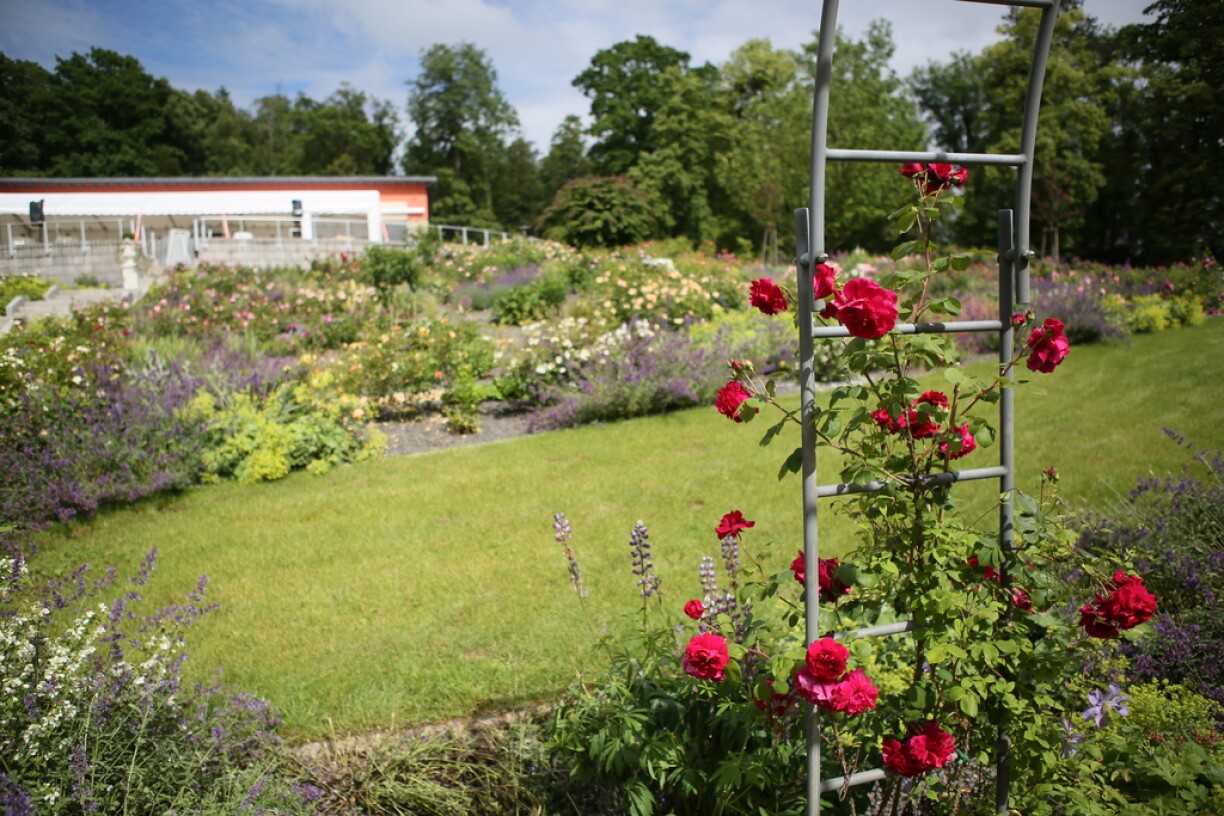 Le bâtiment destiné à la restauration est au cœur de la Roseraie.