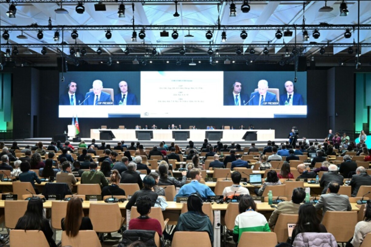 Nearly 200 nations attend the annual COP summits