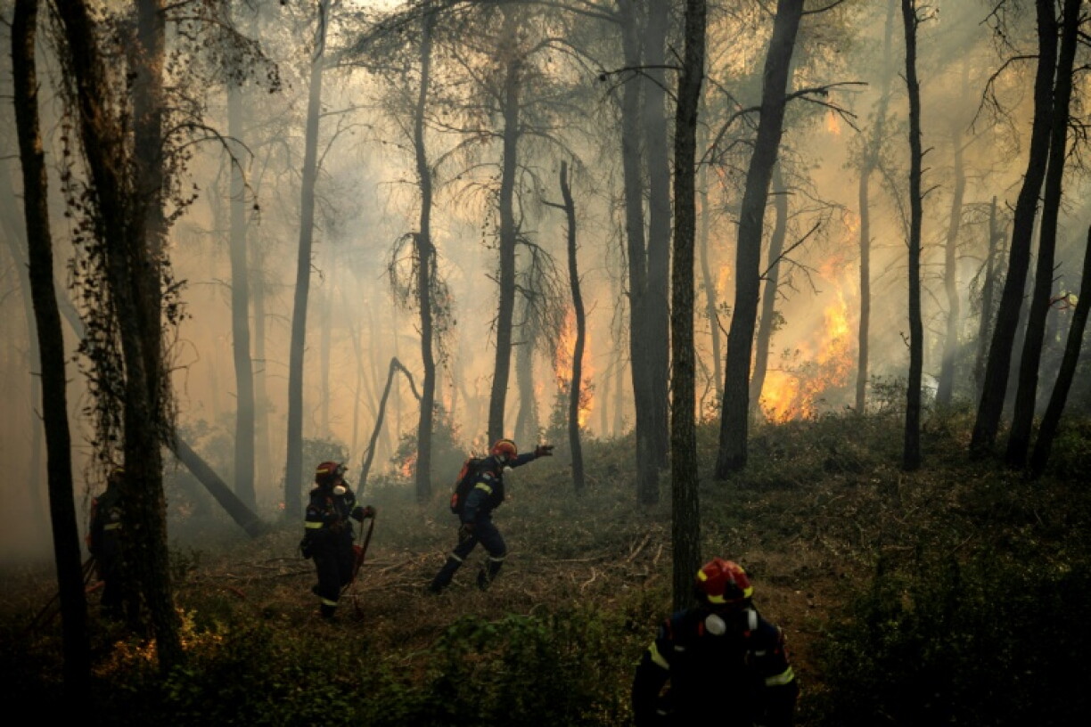 Des pompiers grecs tentent d’éteindre un incendie de forêt dans la région de Porto Germeno, à quelque 70 kilomètres au nord-ouest d’Athènes, dans la région de la Viotia, le 2 août 2026
