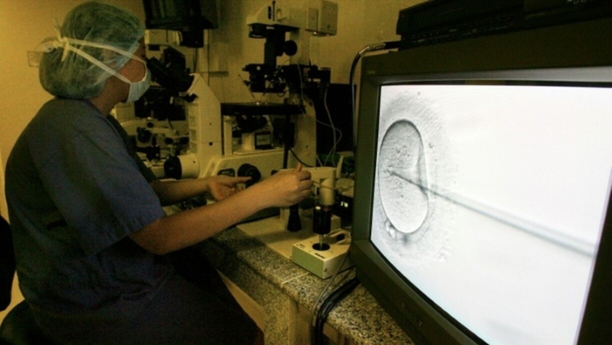 Une clinique australienne de fécondation in vitro (FIV) a admis jeudi soir s'être trompée d'embryon, ce qui fait qu'une femme a donné naissance à l'enfant d'une autre