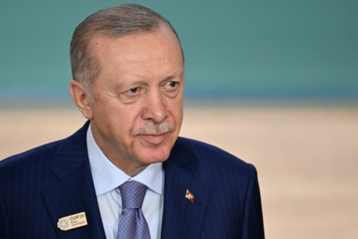 Erdogan declared 2025 the 'year of the family' in a bid to address Turkey's declining fertility rate