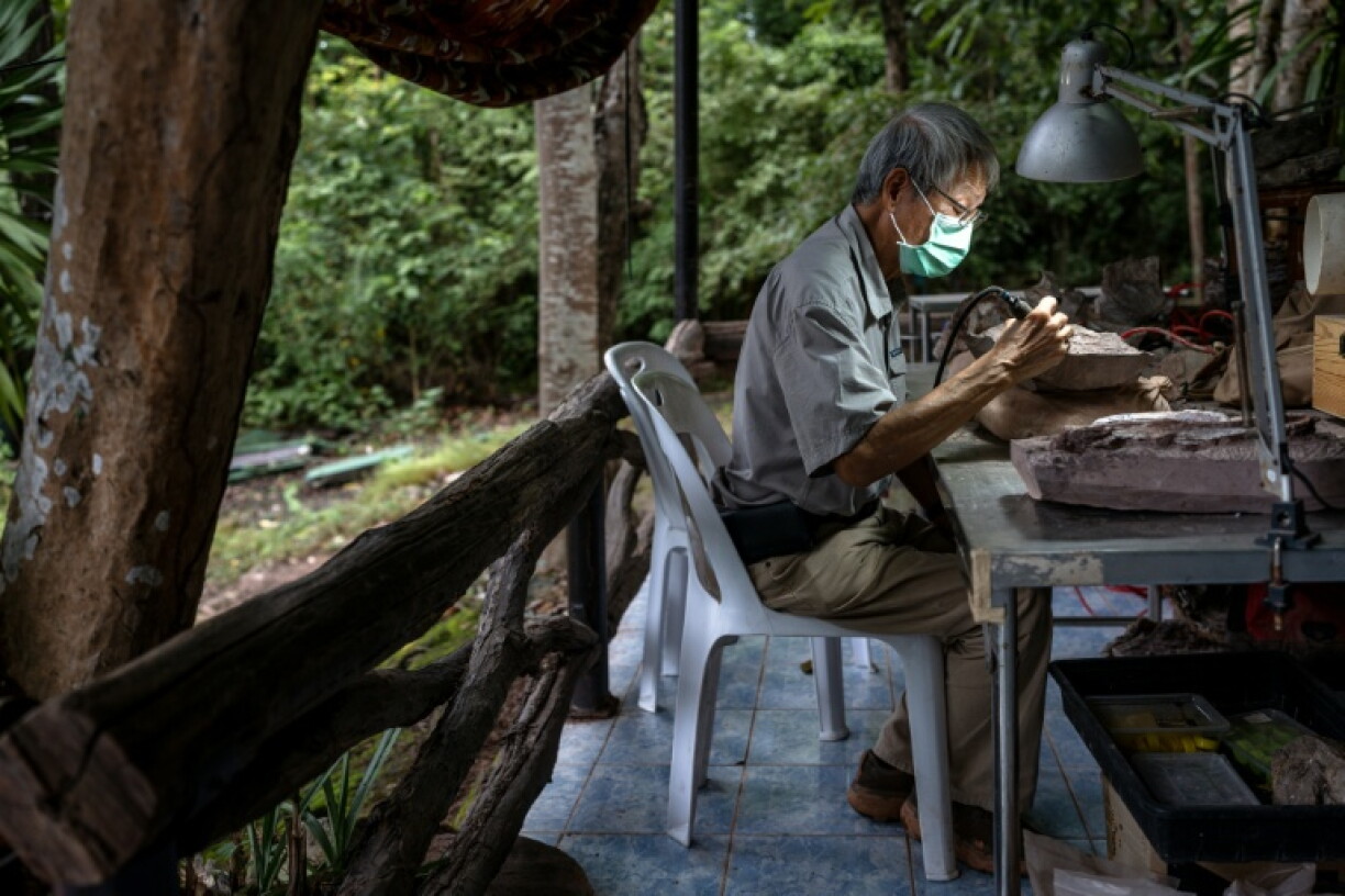 Le paléontologue Varavudh Suteethorn nettoie la terre entourant des morceaux de fossile de dinosaure dans le parc national de Phu Wiang à Khon Kaen, en Thaïlande, le 19 août 2026