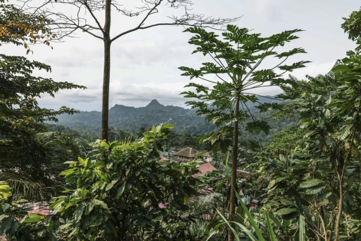 Once nicknamed the 'Chocolate Islands', the Portuguese-speaking archipelago was the world's leading cocoa producer at the beginning of the 20th century