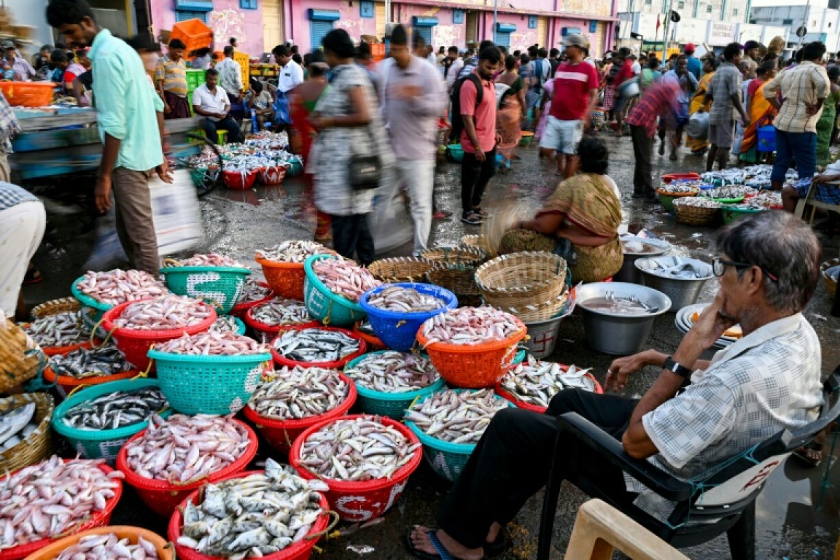 Seafood exporters, who have been told by some US buyers to hold shipments, are hoping for new customers