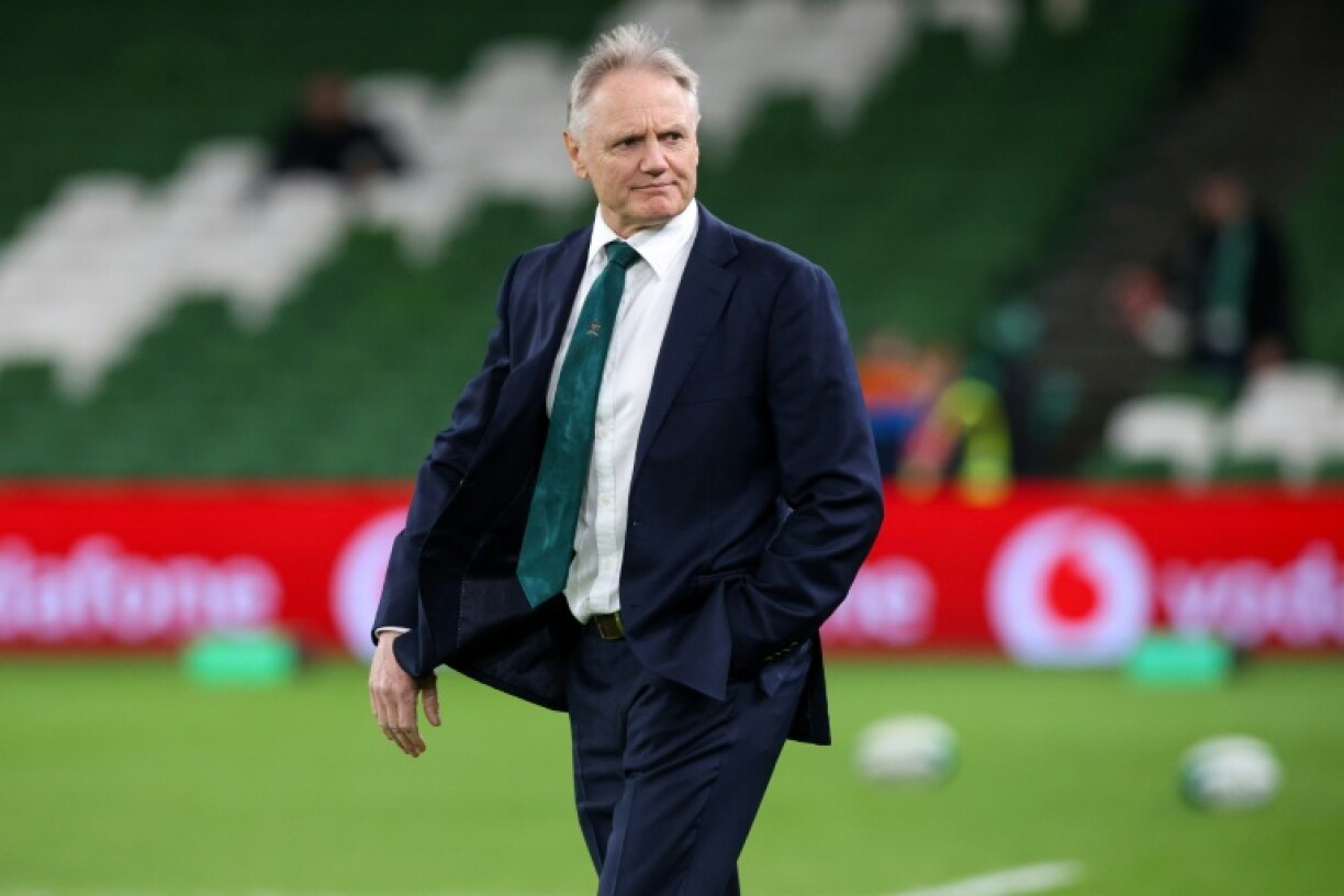 Australia head coach Joe Schmidt has been backed to keep going