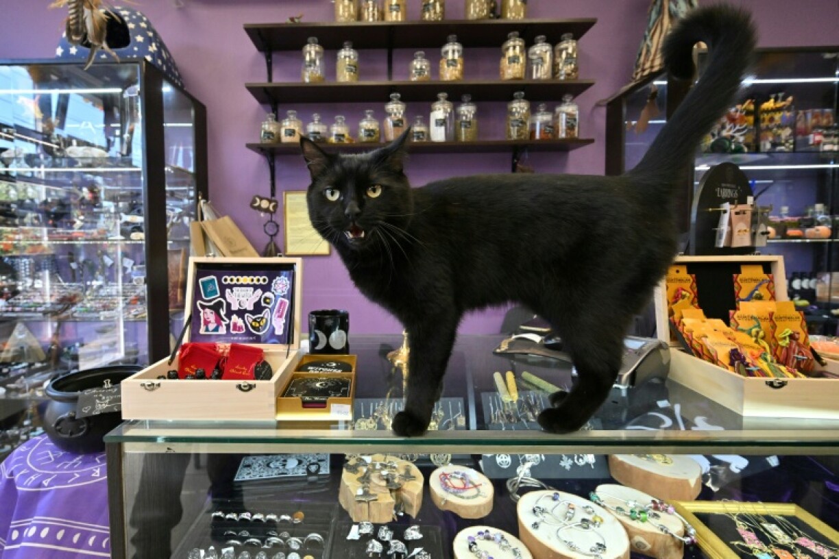 Author Charles Stross imagined inhuman AI masquerading as a cat