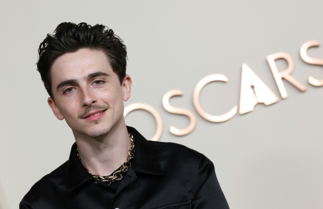'A Complete Unknown' star Timothee Chalamet is up for a best actor Oscar