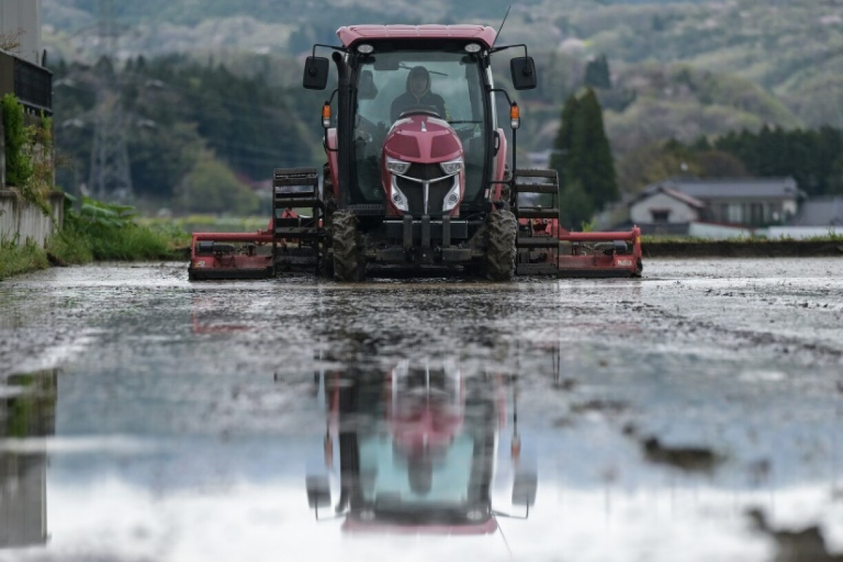 The rocketing cost of a key part of Japanese people's diet is growing into a crisis for the government