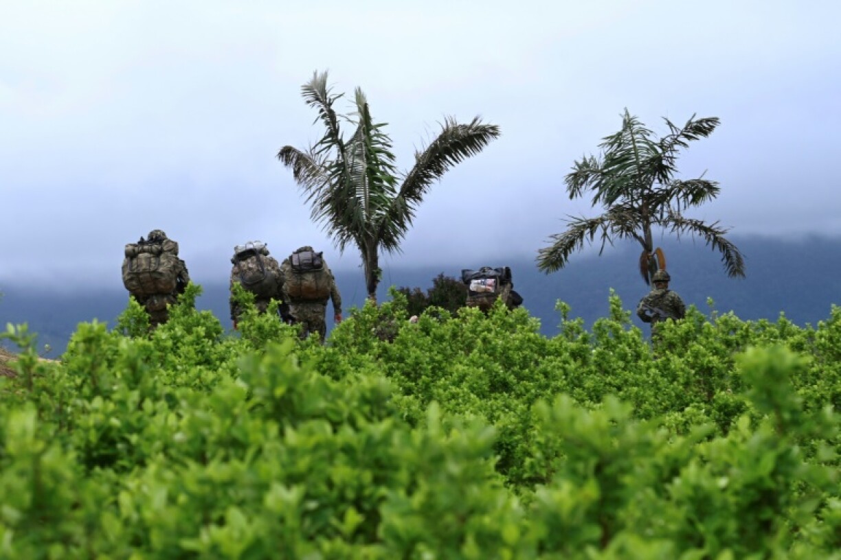 Soldiers walk away among coca plantations after local communities force them to leave their military base near El Plateado, Cauca department, Colombia on March 8, 2025.