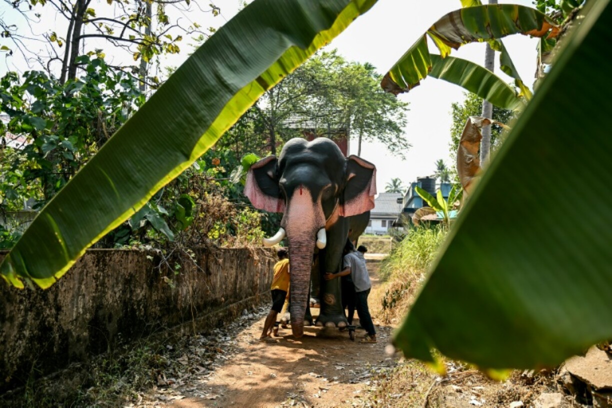 Like the real thing, models are draped with a golden headdress and bedecked with flower garlands