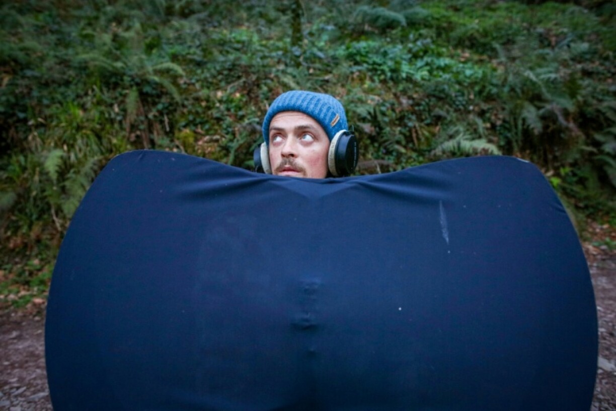 Each entry on Ronayne's archive includes data on behaviour, calls and the protected status of each bird - many red or amber