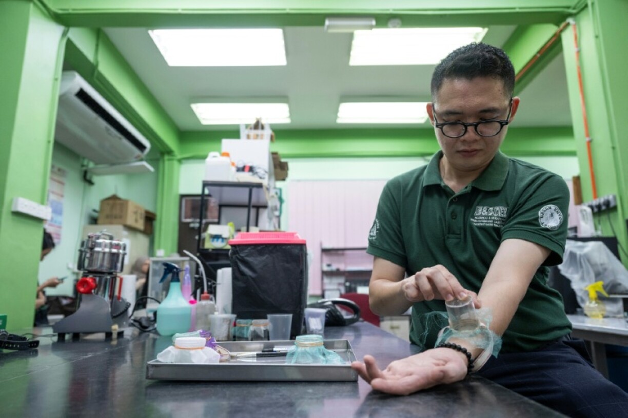 The bloodsuckers, scientific name Cimex hemipterus, are the most common species found in Malaysia and the tropics