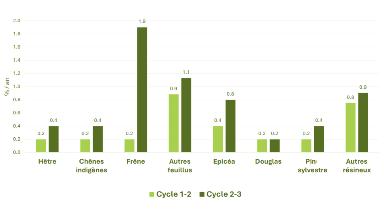 Mortalité par essences d'arbres entre la période de 2000 à 2010 et la période entre 2010 et 2023. Pour le frêne, la mortalité est près de dix fois plus élevée entre les deux cycles. Pour le hêtre, le chêne, le pin et l’épicéa, la mortalité a doublé.