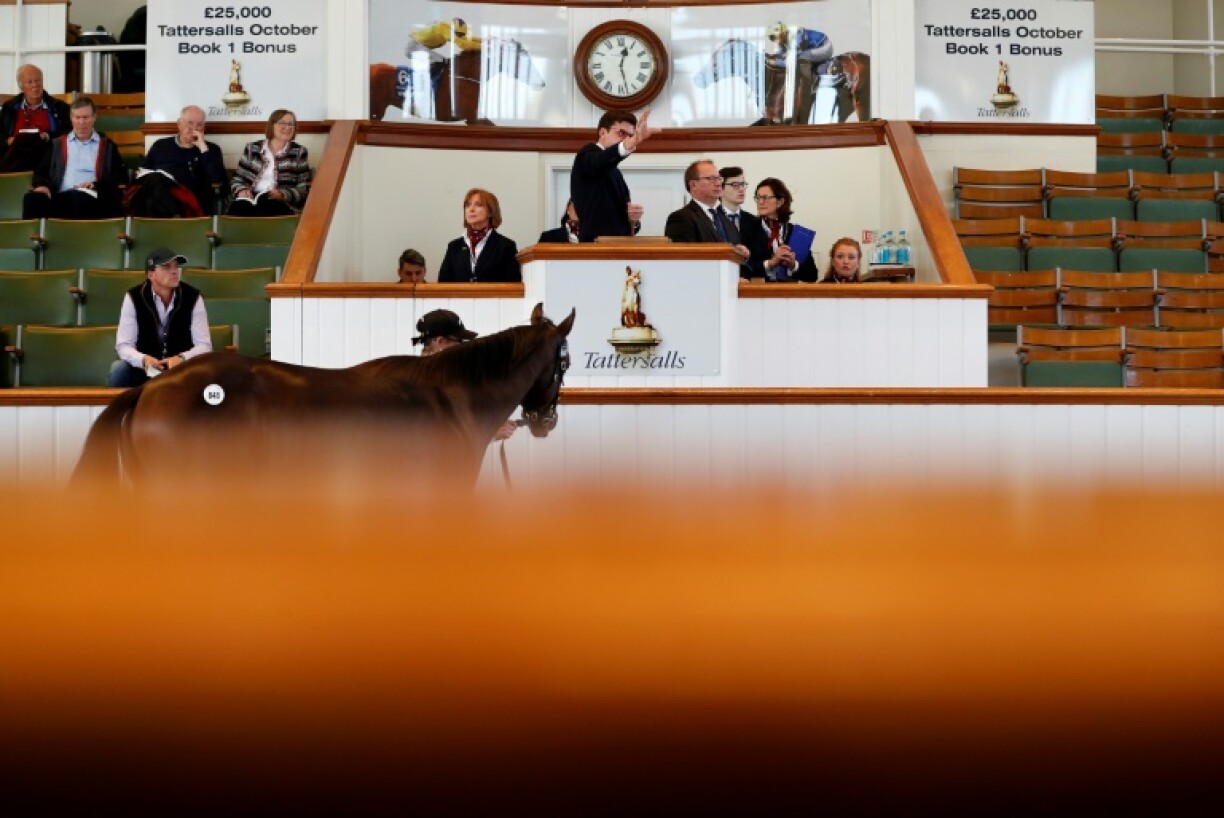 The tax will be another nail in the coffin for British racing whose best horses are already being bought at the sales by buyers from abroad breeder David Redvers told AFP