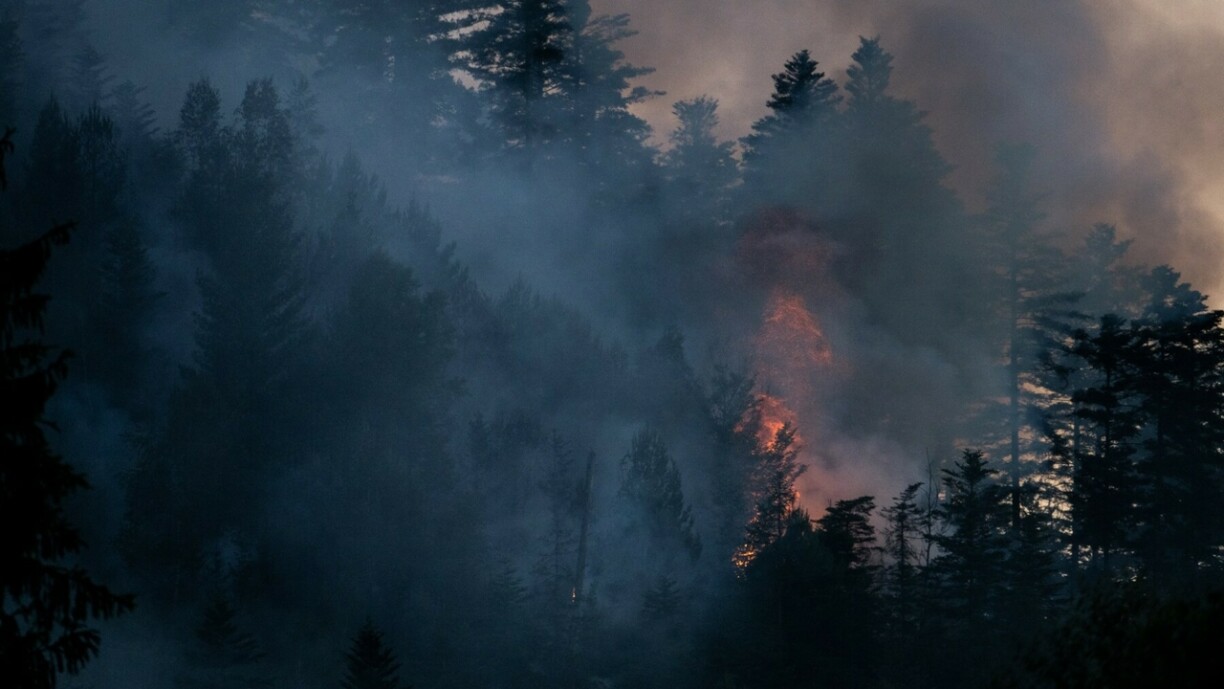 Un incendie à Bois-le-Champ dans les Vosges le 13 juin 2023.