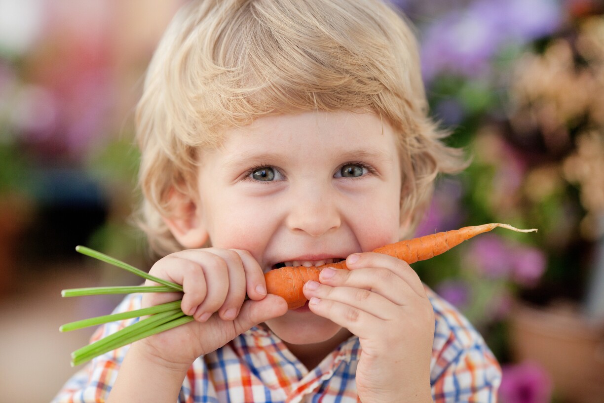 À tout âge, il faut solliciter ses dents avec des aliments solides.