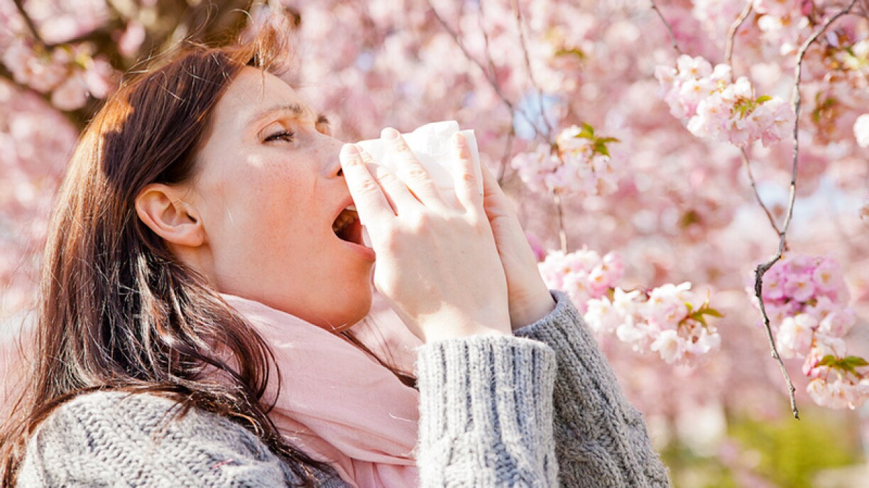 Un indice de 4/5 et de 5/5 a été émis pour le pollen à Metz et Nancy.